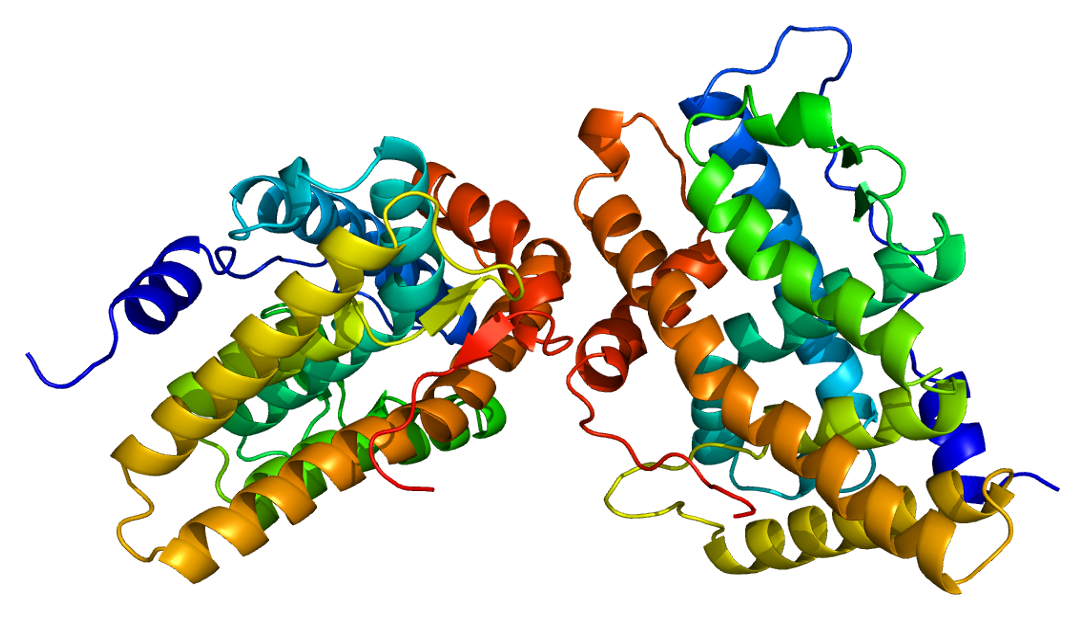 Protein_PGR_PDB_1a28