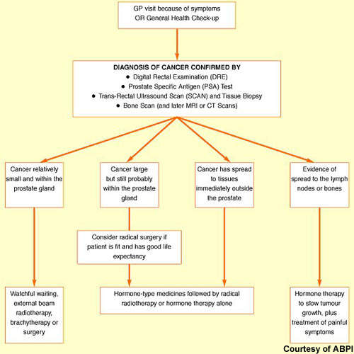 drug_abiateronecance2 Drug Development Technology