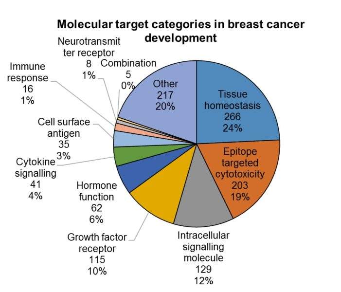 New drugs and therapeutic options help the immune system fight cancer